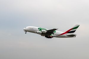Tani transport na lotnisko – wypożyczalnia busów osobowych, aut lotnisko lotnisko Poznań i Bydgoszcz .